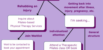 Physical therapy flowchart